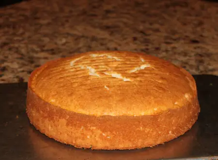 cake in springform pan