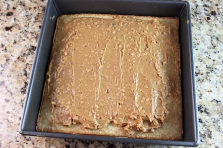 IMG_9062tandy-cake tandy cake