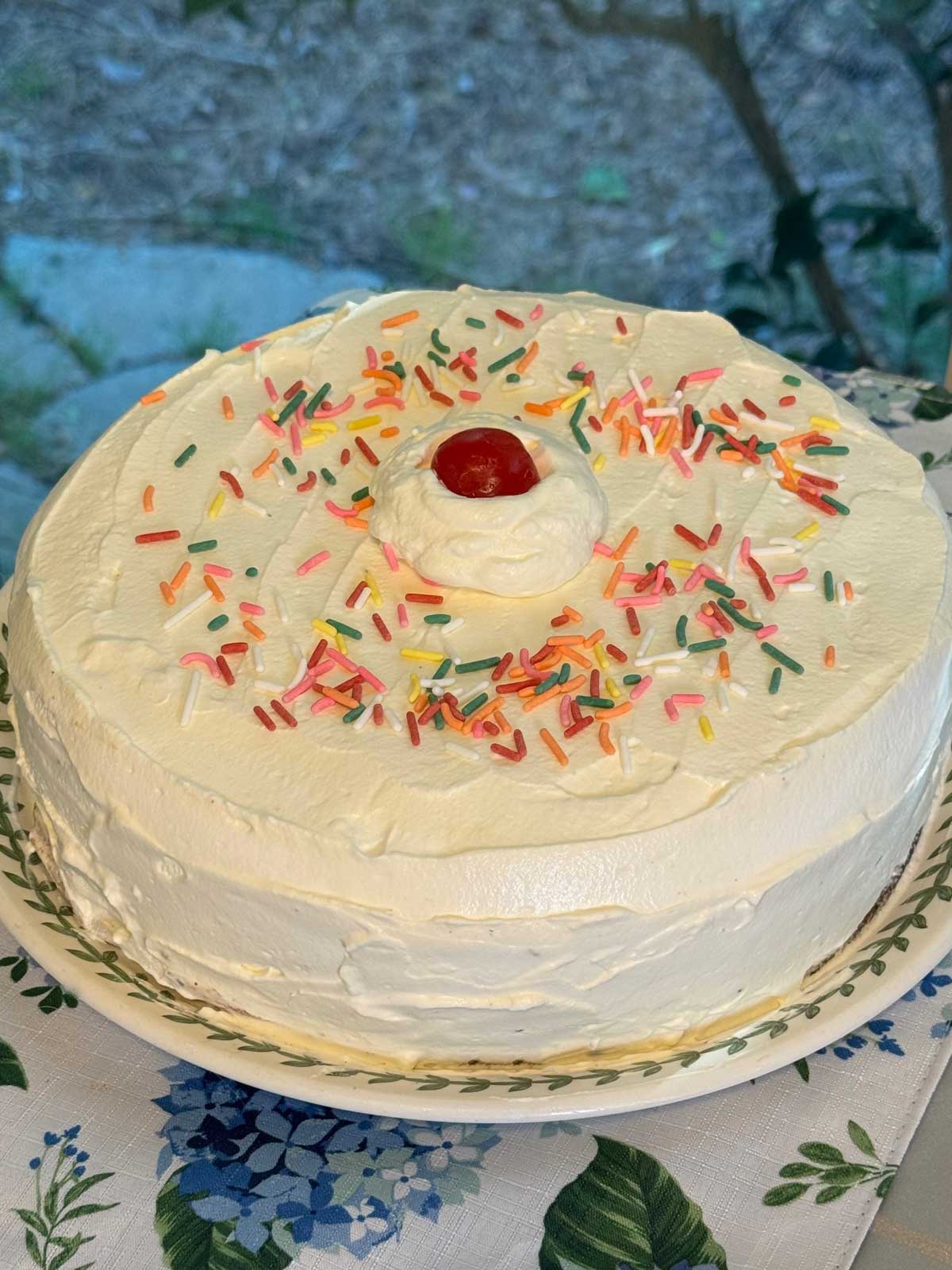 Carvel Copycat Ice Cream Cake recipe assembled in a 9-inch springform pan.