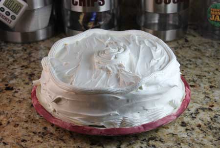 ice-cream-cake2 ice cream cake
