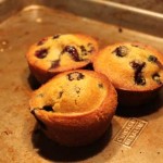 blueberry Corn Muffins