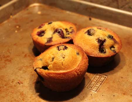 blueberry-corn-muffins blueberry Corn Muffins