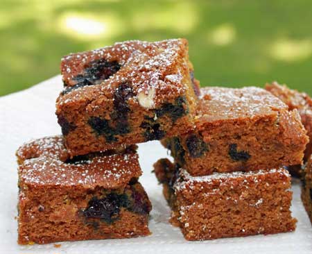 blueberry gingerbread bars