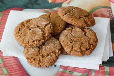gingersnaps gingersnaps