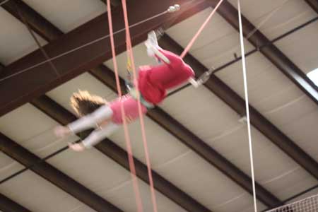 trapeze school