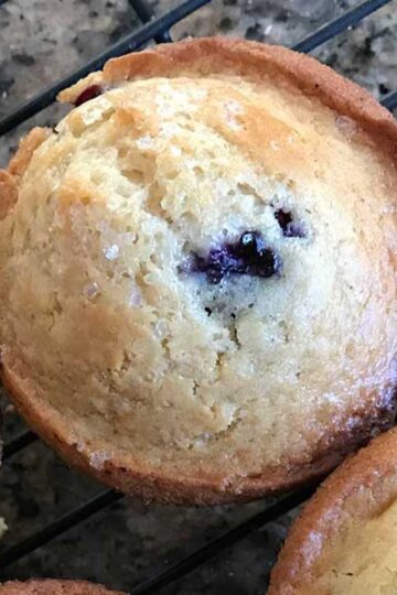 Egg-Free Whole Wheat Blueberry Muffins