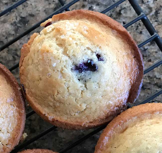 whole wheat blueberry muffins