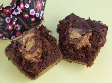 peanut butter cup cupcakes