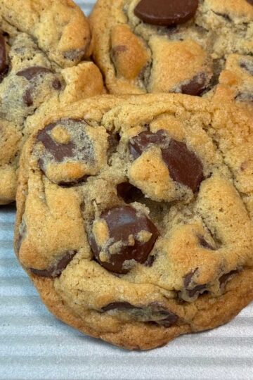 Williams Sonoma Chocolate Chip Cookie Recipe like Tiny Boxwoods