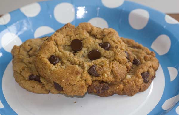 chocolate chip cookie with ground granola