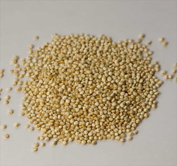 quinoa