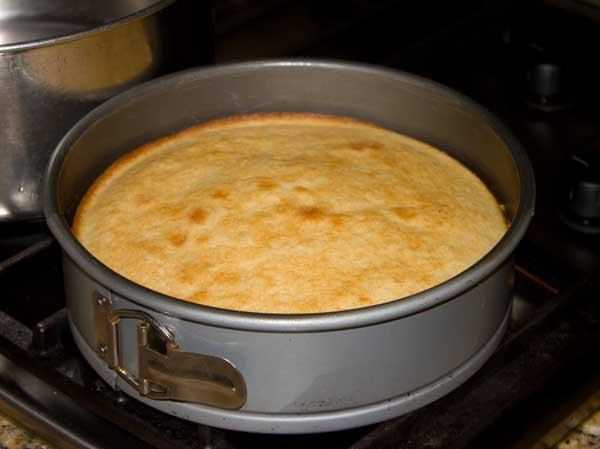 Yello cake baked in a springform pan