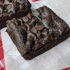 Reduced Fat Brownies made with grapeseed oil and melted chocolate