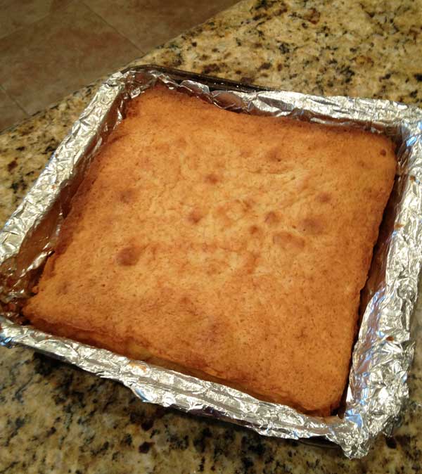 coconut-cake-no-icing coconut cake