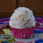 White Mountain Coconut Cupcake