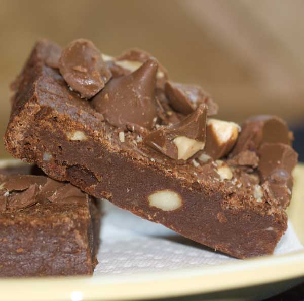 macadamia-brownie macadamia nut brownie