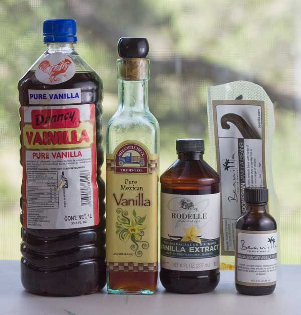 vanilla-extract-collection vanilla gelato