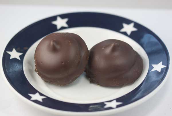 Homemade Whippet Cookies or chocolate covered marshmallow cookies.
