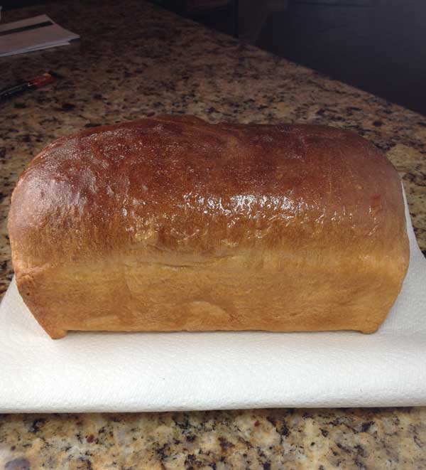 Basic White Bread