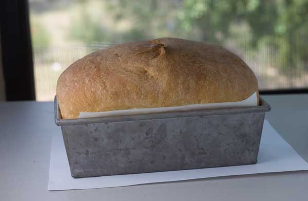 Basic White Bread