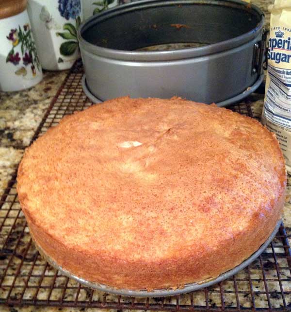Hot Milk Sponge Cake