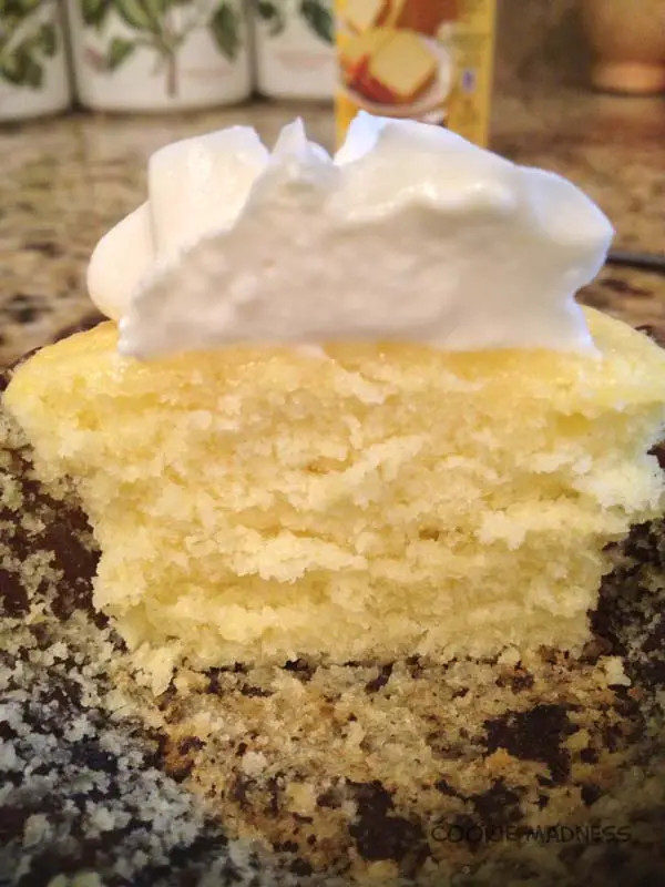 cupcake-texture