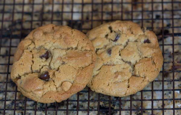 Chippy Peanut Butter Cookies