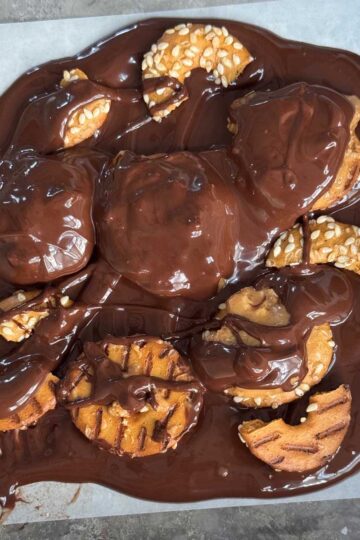 Peanut Butter Pretzel Bark made with allulose sweetened chocolate and protein pretzels.