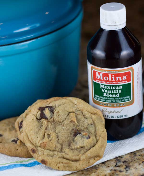 chewy Molina Mexican Vanilla