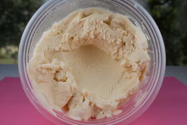 Mexican Vanilla Ice Cream