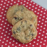 chocolate chip pudding cookies