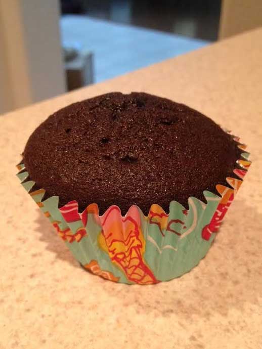 Chocolate Dipped Cupcakes