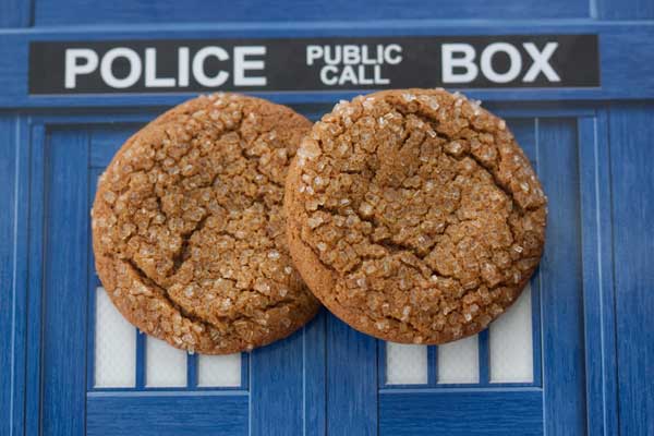 molasses ginger syrup cookies