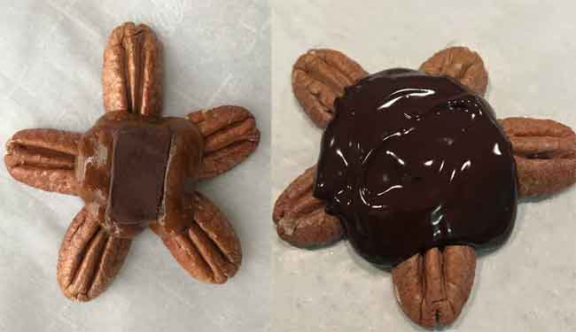 chocolate turtles