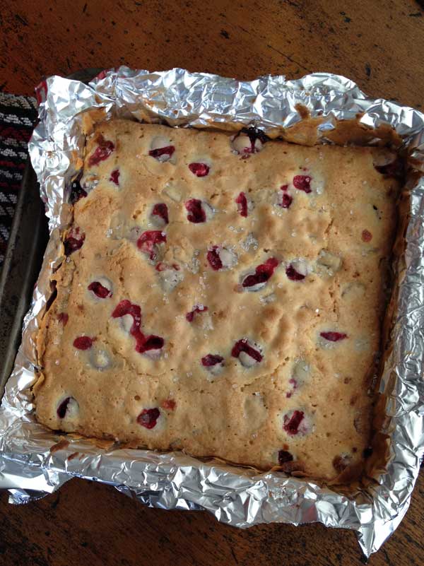 cranberry nut bars