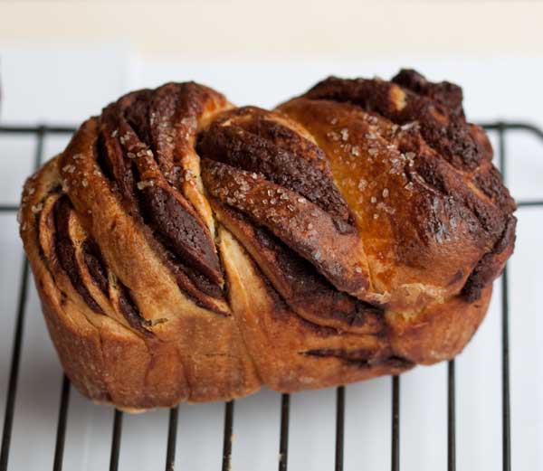 chocolate babka