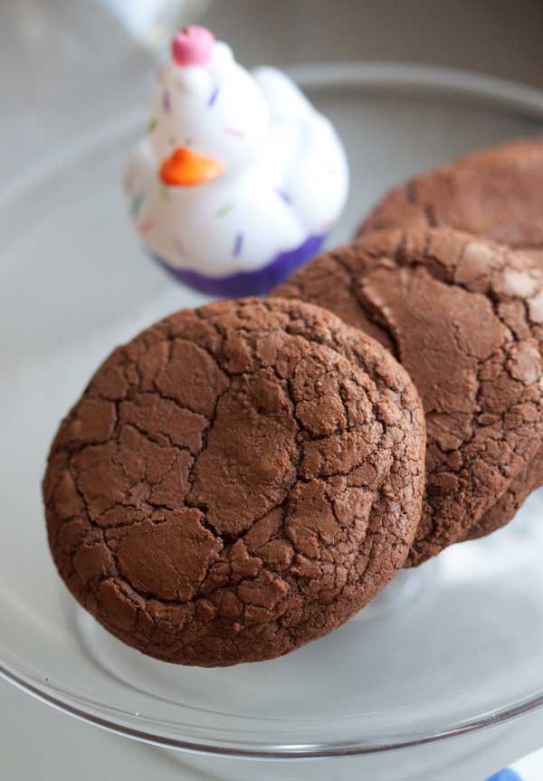 chocolate brownie cookies