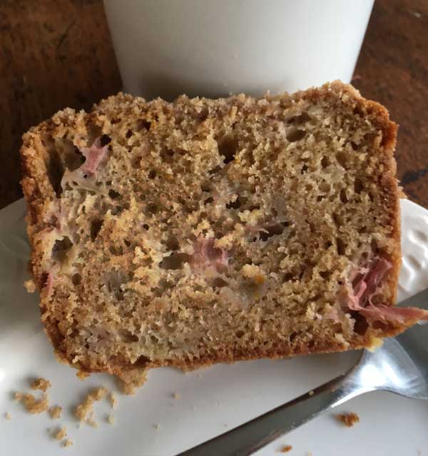 rhubarb bread