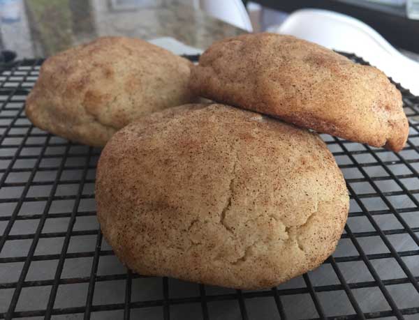 Roasted Flour Snickerdoodles