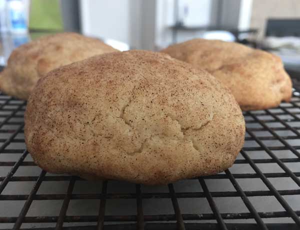 roastedfloursnickerdoodles2