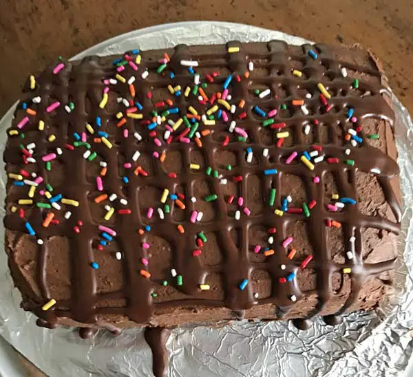 Rectangular Chocolate Cake