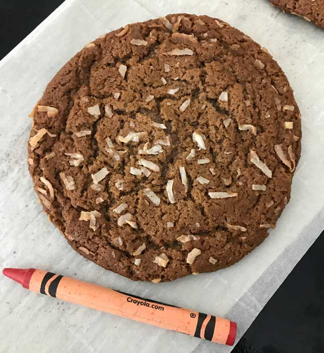 Chewy jumbo 5-inch molasses cookie with coconut