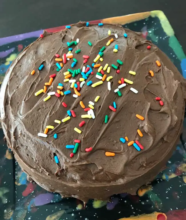 Instant Pot Chocolate Cake with colorful sprinkles on a square shaped plate.