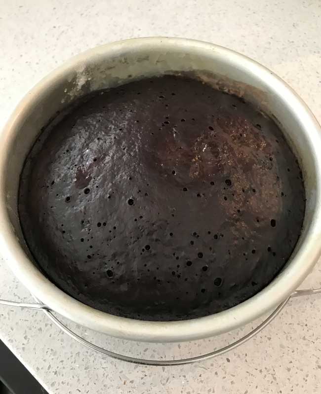 instant pot chocolate cake still in the 6-inch pan.