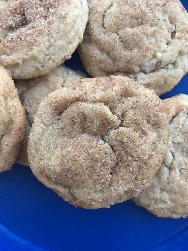 Date Paste Vegan Snickerdoodles