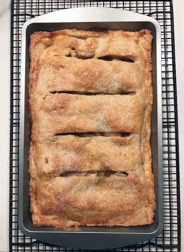 Small Apple Slab Pie