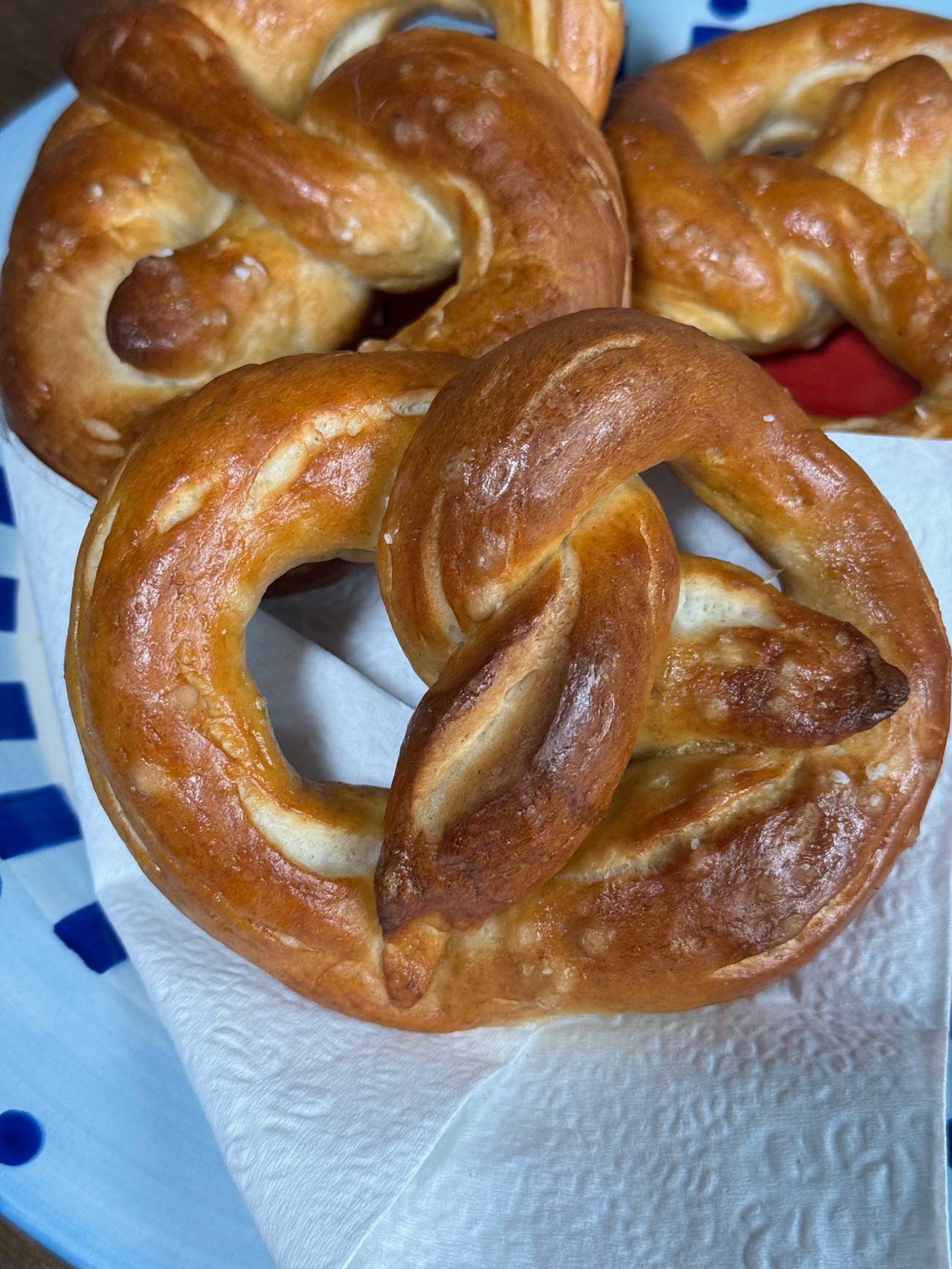Sourdough Discard Pretzels recipe