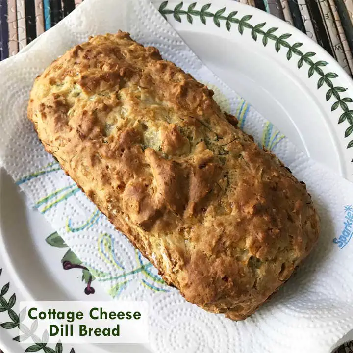 Cottage Cheese Dill Bread No Yeast