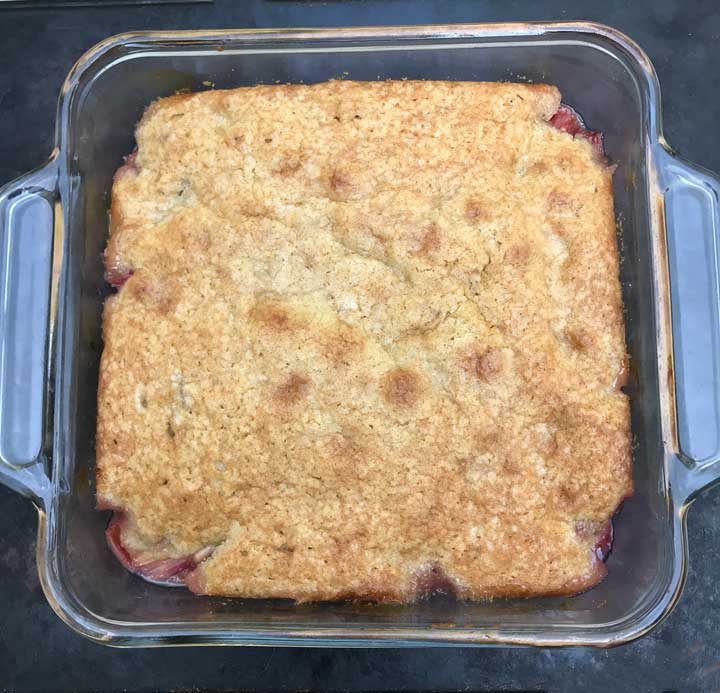 Rhubarb Pudding Cake