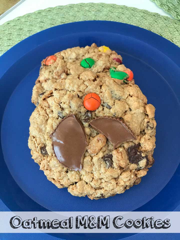 Ann Romney's Oatmeal M&M